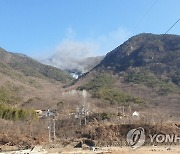 밀양 야산 산불