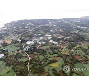 제주도민 제2공항 건설 '반대' 우세..국토부 "충실히 반영" 입장(종합)