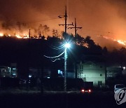 양양 사천리서 산불 발생