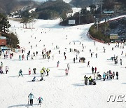 스키장 매트 깔고 내려오다 철조망 충돌..알바생 1명 사망, 2명 부상