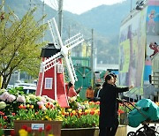 안전 최우선..아쉽지만 올해 봄꽃축제는 마음으로만