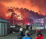 양양 산불 6시간만 진화.. 산림 6.5㏊ 소실, 인명피해無