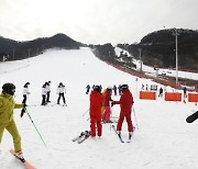 스키장서 매트 타고 내려오다 철조망에 '쾅'..3명 사상