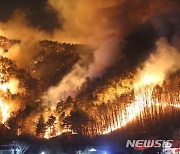 건조경보 양양서 산불..소방 대응 2단계 발령(2보)