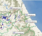 춘천·양구·화천서 ASF 감염 멧돼지 폐사체 8건 발견