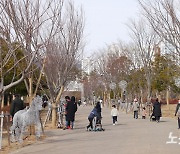 19일 부산 낮부터 맑고 포근..오후에는 강한 바람