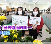 강릉 '시정뉴스' 확 바뀐다.."일방적 홍보 아닌 소통 위주"