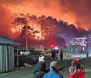 양양산불 6시간 만에 진화..산림 6.5㏊ 소실(종합2보)