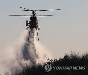 산불 진화하는 산림청 헬기