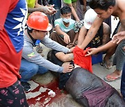 미얀마 '피의 토요일'..경찰 발포로 시위대 최소 2명 사망