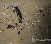 Israel Oil Spill
