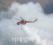 경북 안동 산불.."즉시 대피" 재난문자