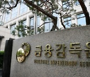 금감원, 금소법 시행 발맞춰 금융상품 불법판매 점검 강화
