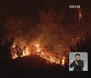 경북 안동 산불 확산..주민 70여 명 대피·국도 통제