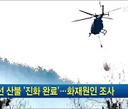 정선 산불 '진화 완료'..화재원인 조사