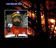 정선 산불 '축구장 18개' 태우고 꺼져..잦은 봄 산불 '초비상'