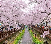 코로나가 삼킨 봄축제..지자체 올해도 줄취소