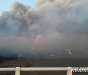 경북 안동 산불 강풍 타고 확산..소방 동원령 1호 발령(종합)