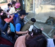 [사진]거리두기 완화 후 첫 주말..모처럼 활기찾은 동물원