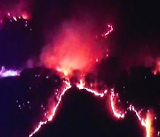 전국 곳곳에서 산불..영동·논산·하동 산림 수십㏊ 소실