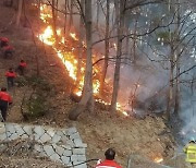 대구 팔공산 도학사 인근 야산에 불 .. 500평 임야 태워