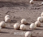 한화 이어 수도권 유명 선수..야구계 '학폭 미투' 확산