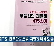 법원 "'5·18 북한군 조종' 지만원 책 배포 금지"