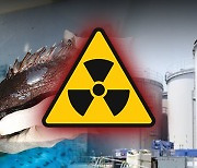 후쿠시마 앞바다 생선에 허용한도 5배 방사성 물질
