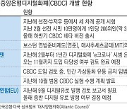 중앙은행 디지털화폐(CBDC) 도입되면 비트코인 가치는?