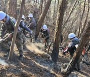[포토뉴스] 하동 산불에 39사단 장병 긴급 투입