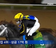 한국마사회 경주마 닉스고 사우디컵 4위..상금 17억 원 획득