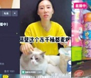 [aT와 함께하는 글로벌푸드 리포트] 반려동물 '라방' 푹 빠진 중국..쇼핑도 아낌없이