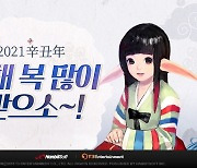 한빛소프트 '에이카', 강화 확률 상승 및 특별 이벤트 개최