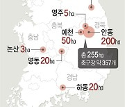 [그래픽] 21~22일 산불 피해 현황(종합)