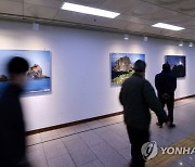 독도재단 주최 사진전