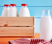 너무 많이 마셔도 문제? 과도한 우유 섭취의 부작용 7가지