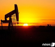 WTI 4%대 급반등..텍사스주 석유설비 정상화 최소 2주