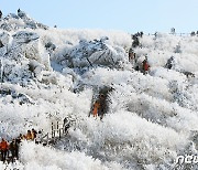 덕유산국립공원 3월2일부터 12개 탐방로 출입 통제.."산불예방"
