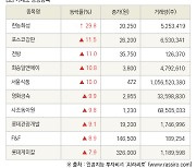 [fnRASSI]장마감, 거래소 상승 종목(한농화성 29.8% ↑)