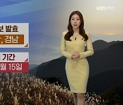 [날씨] 부·울·경 건조주의보 발효..내일까지 추위