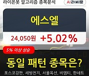 에스엘, 전일대비 +5.02%.. 외국인 기관 동시 순매수 중