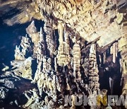 평창 백룡동굴 생태체험학습장 23일 재개장