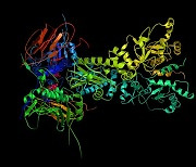 인공지능 단백질 모델링, 나노백신..바이오 10대 미래 유망기술에 뭐 있나