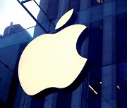 애플, 4년만 스마트폰 시장 점유율  삼성 넘어서