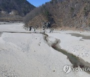 실개천으로 변한 강릉 오봉저수지 상류