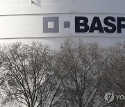 GERMANY BUSINESS CHEMICALS BASF