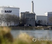 GERMANY BUSINESS CHEMICALS BASF