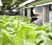 [포토]안철수 대표, '스마트팜 연구 현장 살펴'