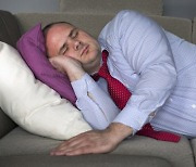 낮잠은 유전된다? (연구)