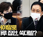 [영상] 조수진 "콩가루 집안, 국가 기강 쑥대밭"..유영민 "동의 못 해"